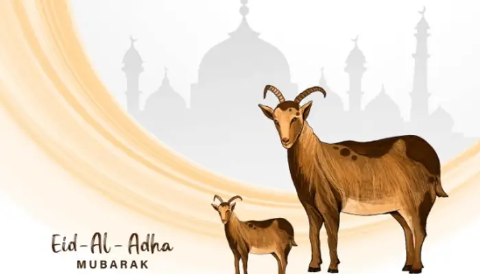  What is Eid al-Adha 2025 and Hajj? Celebration, significance and more 