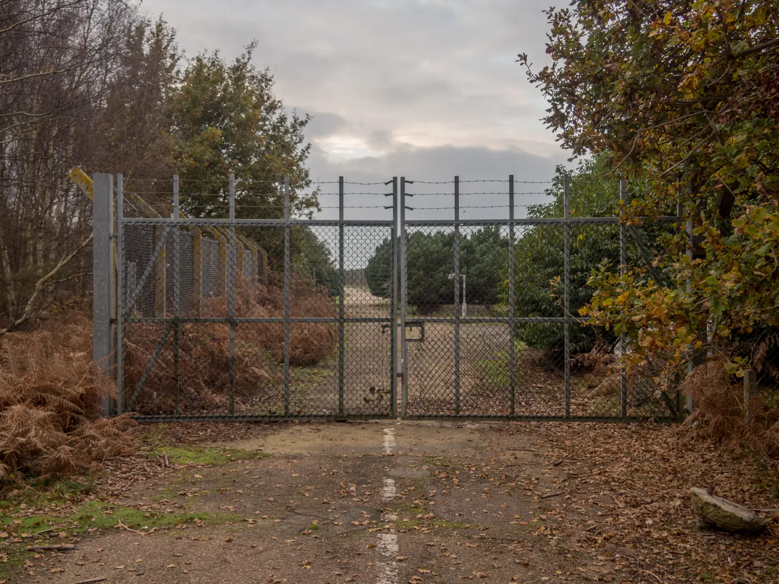The Rendlesham Forest Incident (1980)