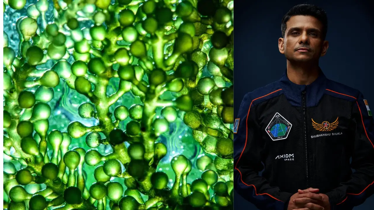 Boosting Space Farming and Food Security