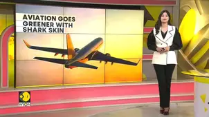 Aussie startup mimics sharks to cut plane emissions