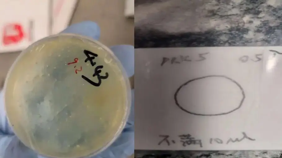 'Alien from Wuhan': Another Chinese national arrested for smuggling biological materials into US