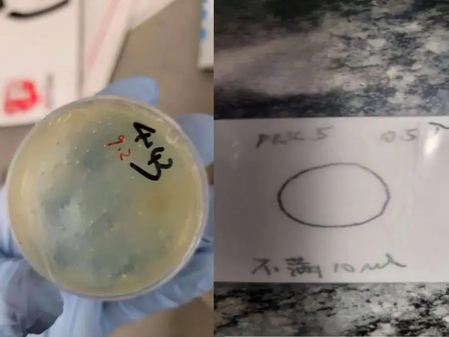 'Alien from Wuhan': Another Chinese national arrested for smuggling biological materials into US