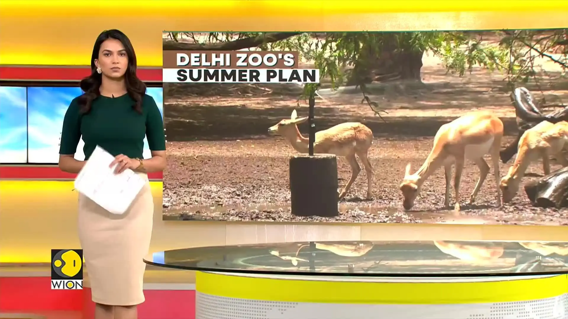 Delhi Zoo: Sprinklers, special diets help animals beat summer heat