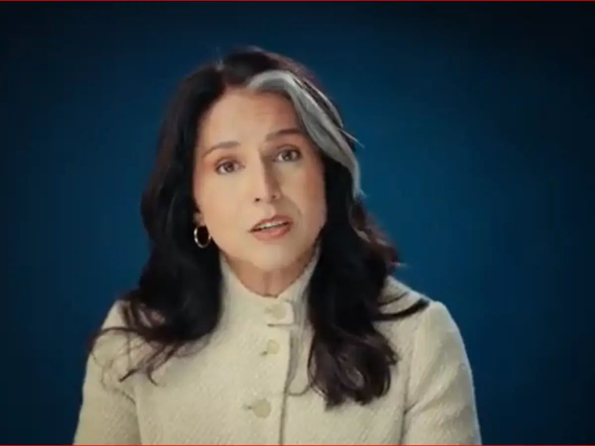 Warmongers will hide in 'bunkers' as the world burns from a 'nuclear holocaust', Tulsi Gabbard issues chilling warning