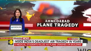 What Led To The Air India Plane To Crash?