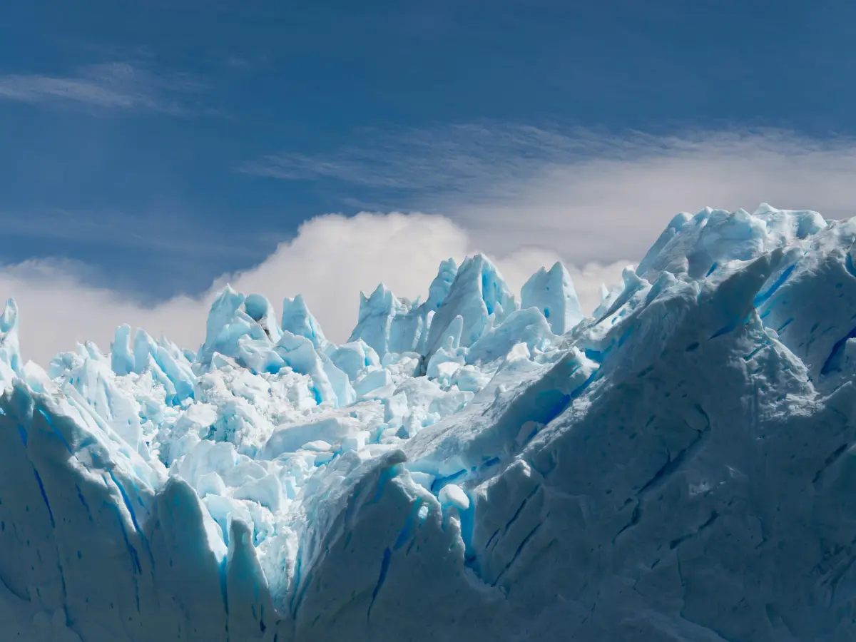 34 million year old world discovered buried deep inside Antarctic ice