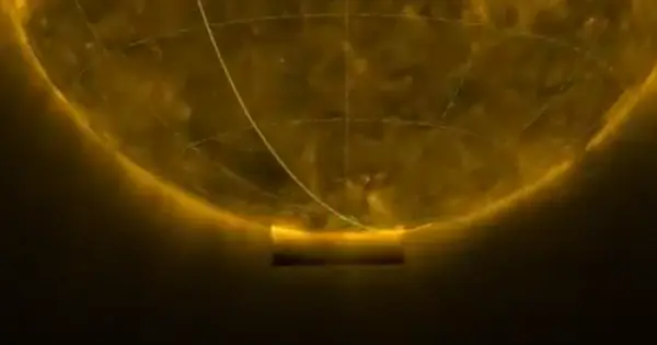 ESA Orbiter beams first-ever visuals of Sun's 'messy' south ...