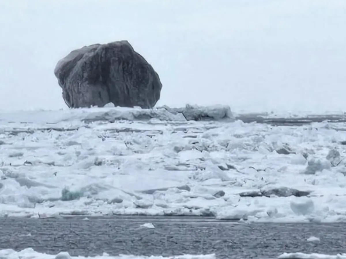  Black iceberg with 100,000-year-old ice and veins spotted in Canada. Expert shares likely reason 