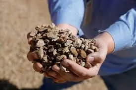 US-China trade truce leaves rare earths issue unresolved