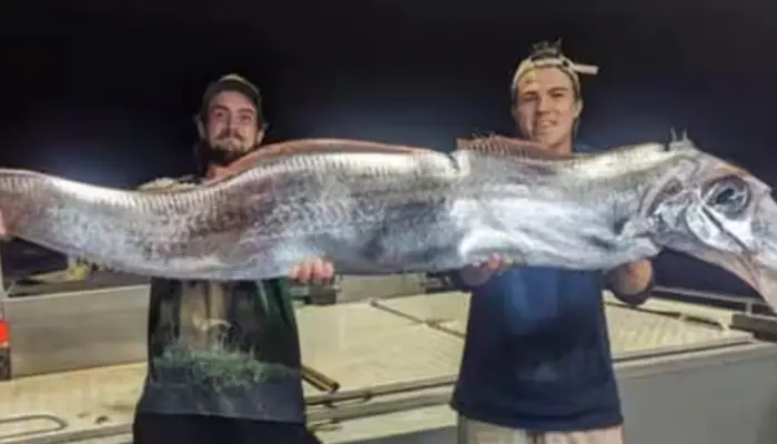  Doomsday fish seen four times this year, including in India. Here are all the recent sightings 