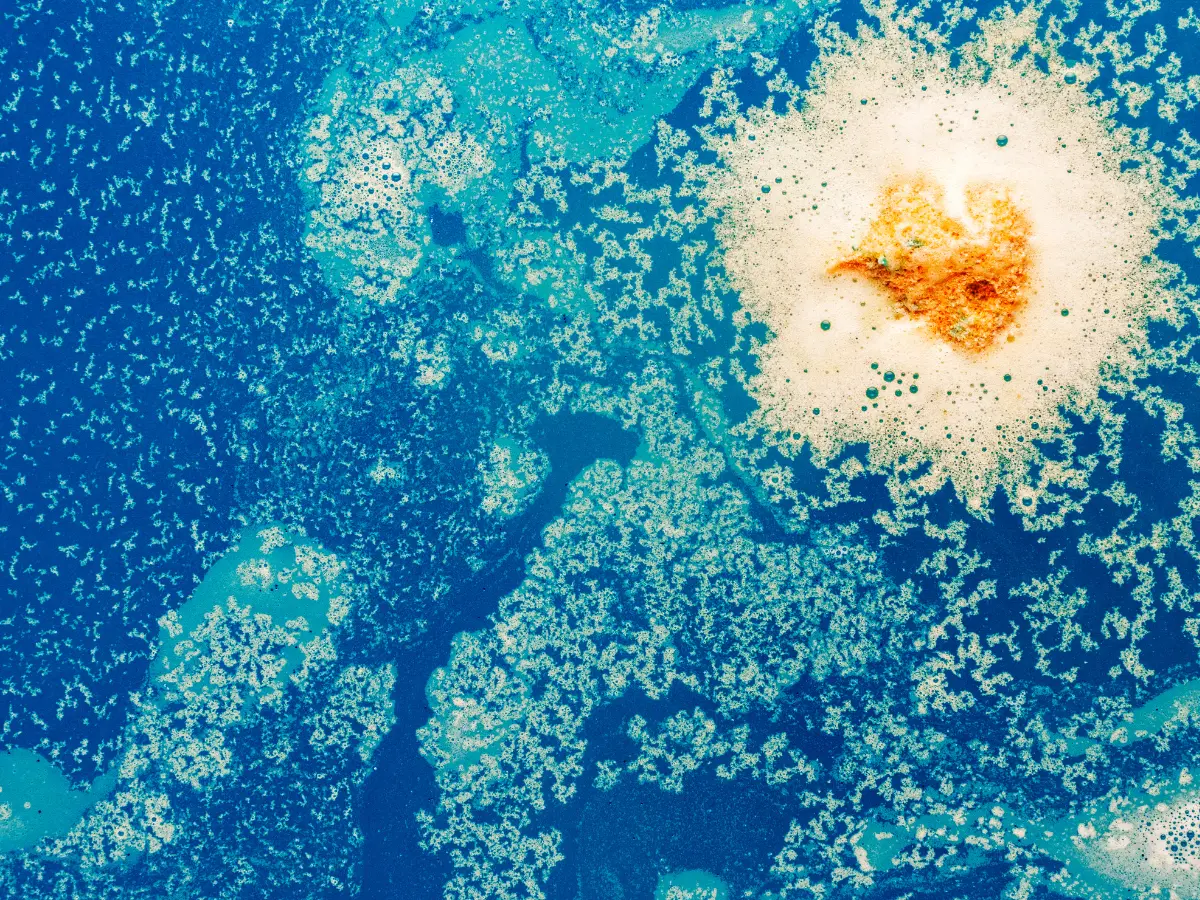 Never-before-seen viruses are killing the Earth's source of oxygen
