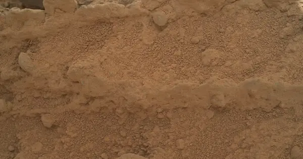 Curiosity Rover Captures Image of Potential Mushroom on Mars, Sparking Debate