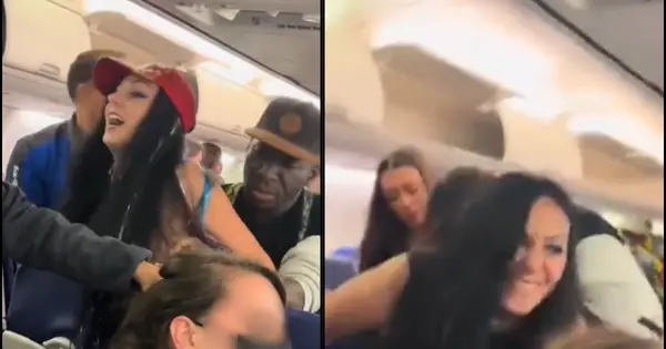 Drunk passenger pulls woman's hair, is zip tied after maniacal ...