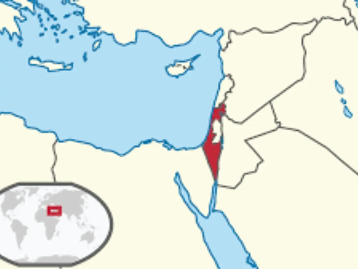 The European Affiliation