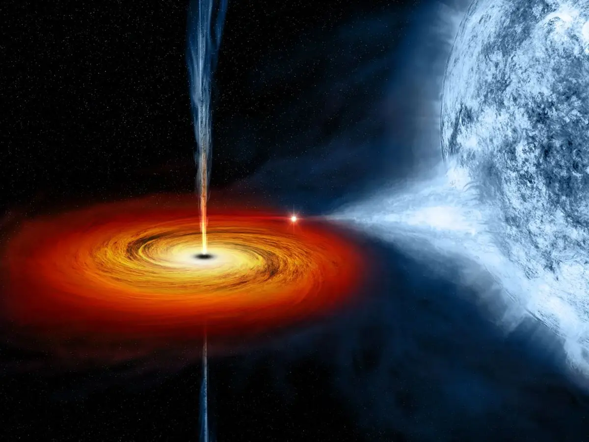 The Black Hole Hypothesis