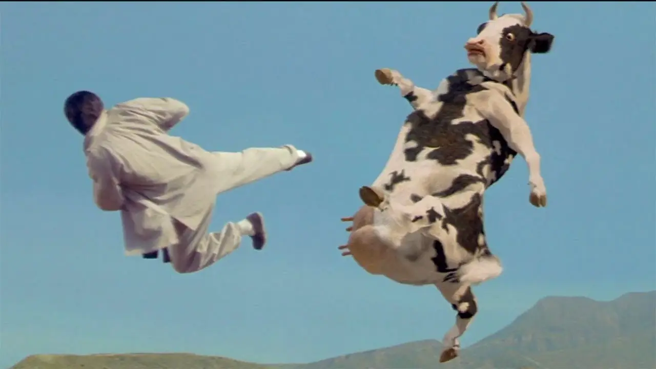 Kung Pow! Enter the Fist