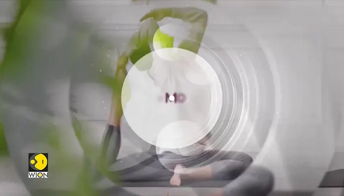International Day of Yoga 2025: How India is connecting the world through yog