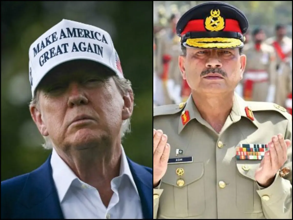 'Brown nosers': Netizens roast Trump and Pakistan over Nobel Peace Prize recommendation. 'Now he can't...'