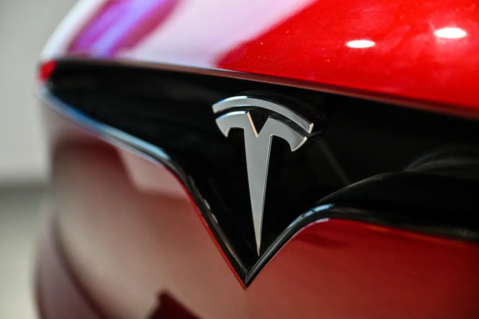 First Model Y Cars Already in India
