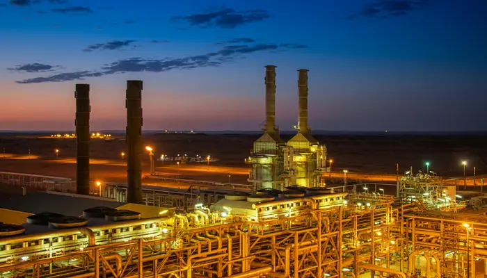 Strait of Hormuz: 4 key commodities India relies on from this vital trade route