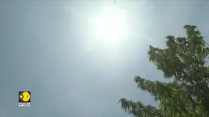 Oppressive Heat Wave Grips U.S. | Is This the New Normal?