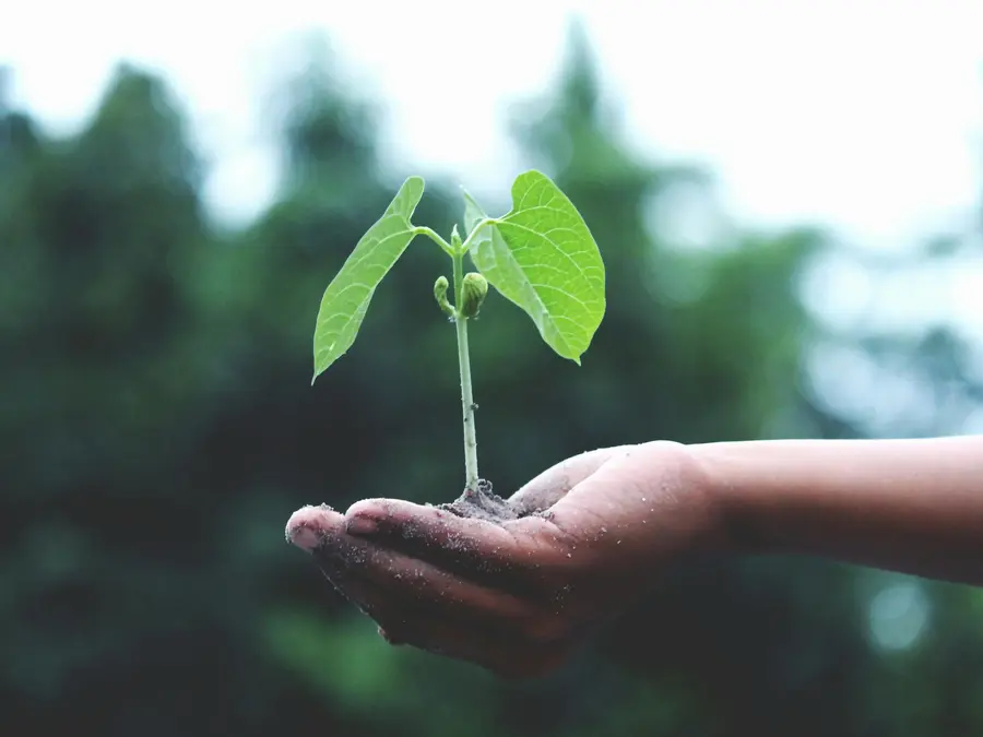 India breaks into top 100 of global SDG index for the first time