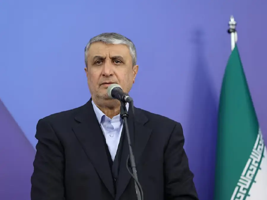 No pause, Iran will restore its nuclear programme, says AEOI chief Eslami