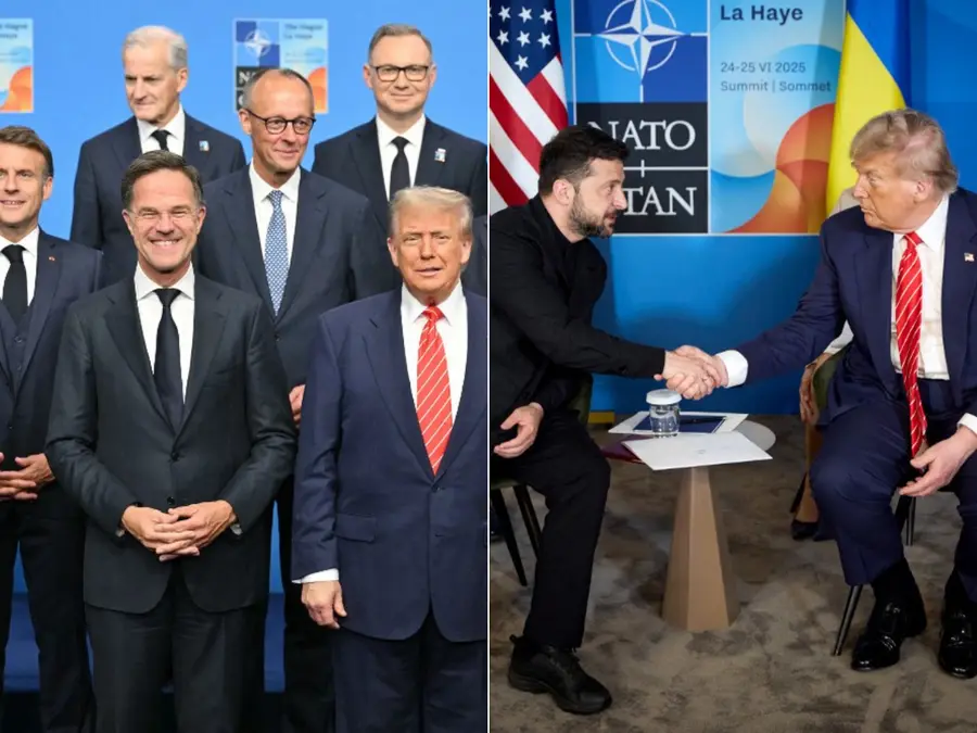Top 10 world news: NATO Summit updates; Trump-Zelensky meet, and more