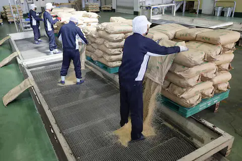 Japan’s rice crisis eases as prices dip and stocks return to shelves