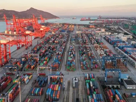 Operation Deep Manifest: DRI seizes 1,115 metric tonne of Pakistan goods worth over ₹9 crore, 1 held