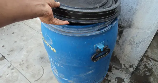 WION - Other - News Image