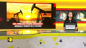  Rate cut bets boost oil demand despite price drop 