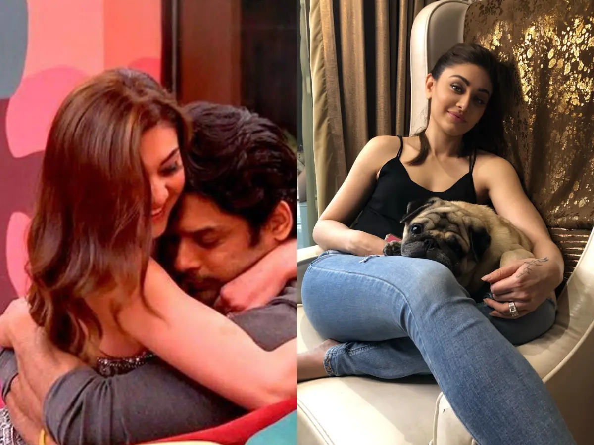 Bigg Boss 13 curse? Shefali Jariwala's tragic death draws chilling parallels to Sidharth Shukla's