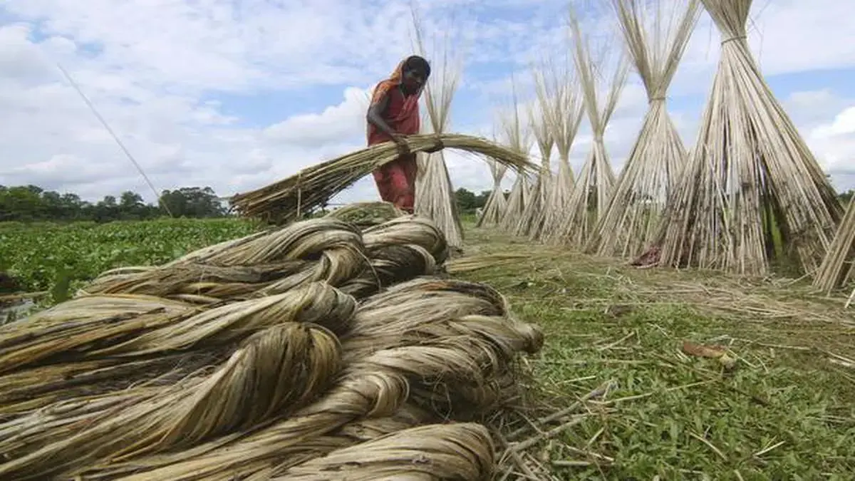 India restricts Bangladesh jute imports via land borders amid frayed ties