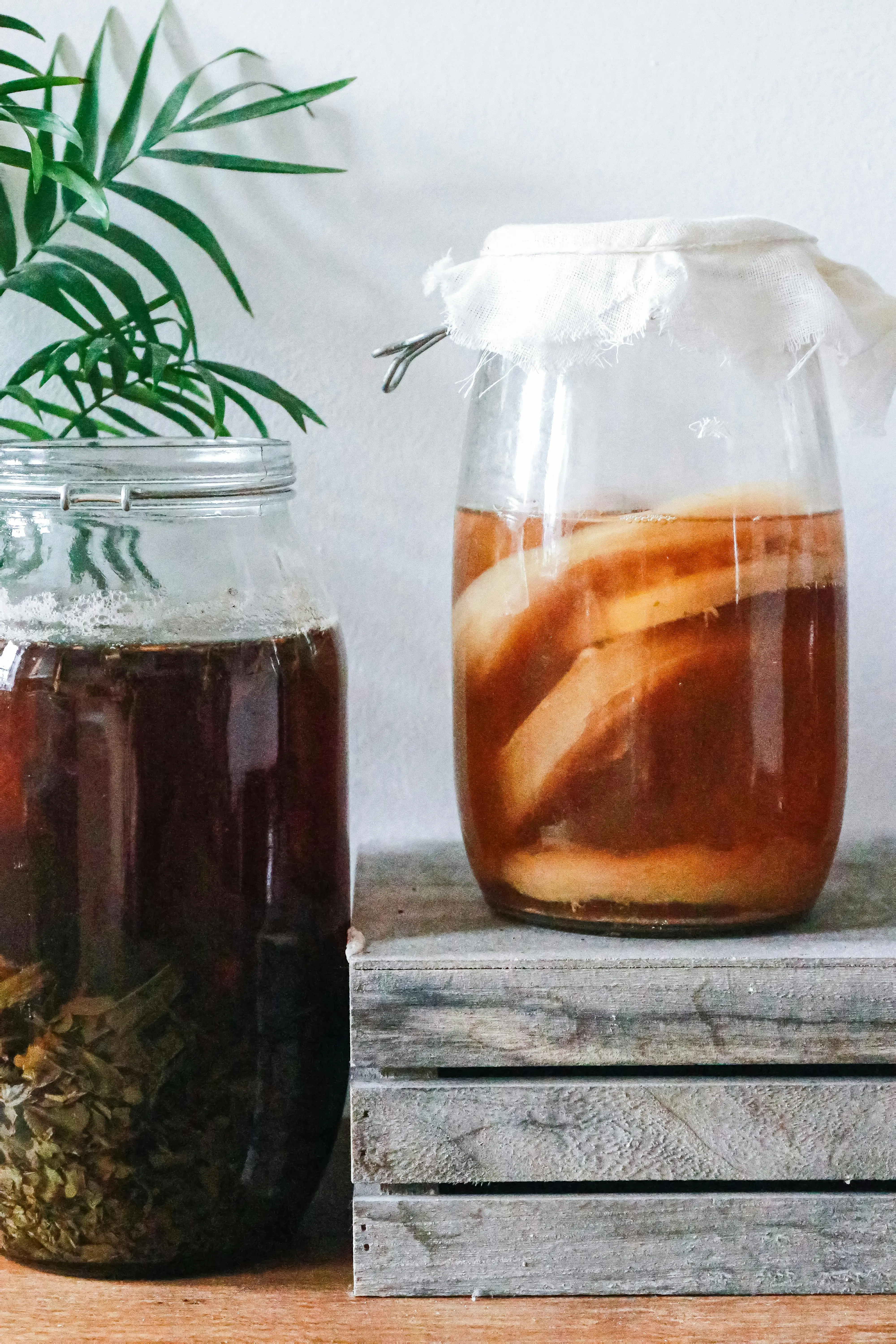 Kombucha: China’s 2,000-year-old secret to gut health or the latest health fad?
