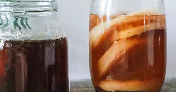 Kombucha: Ancient Remedy Gaining Popularity Globally