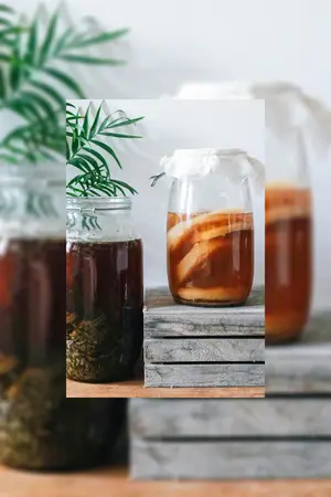 Kombucha: China’s 2,000-year-old secret to gut health or the latest health fad? Kombucha: China’s 2,000-year-old secret to gut health or the latest health fad?