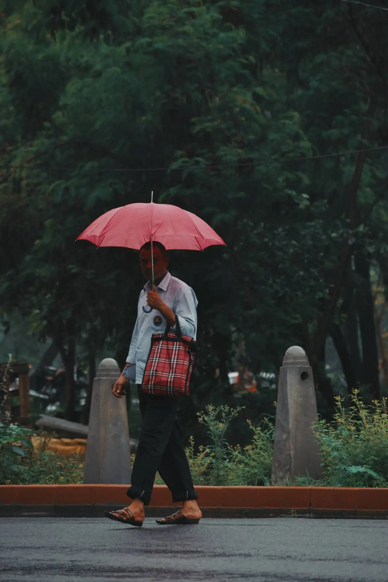 Delhi finally welcomes monsoon showers; rainy season covers entire India 9 days early