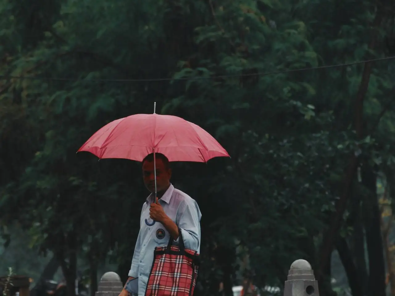 Delhi finally welcomes monsoon showers; rainy season covers entire India 9 days early Delhi finally welcomes monsoon showers; rainy season covers entire India 9 days early
