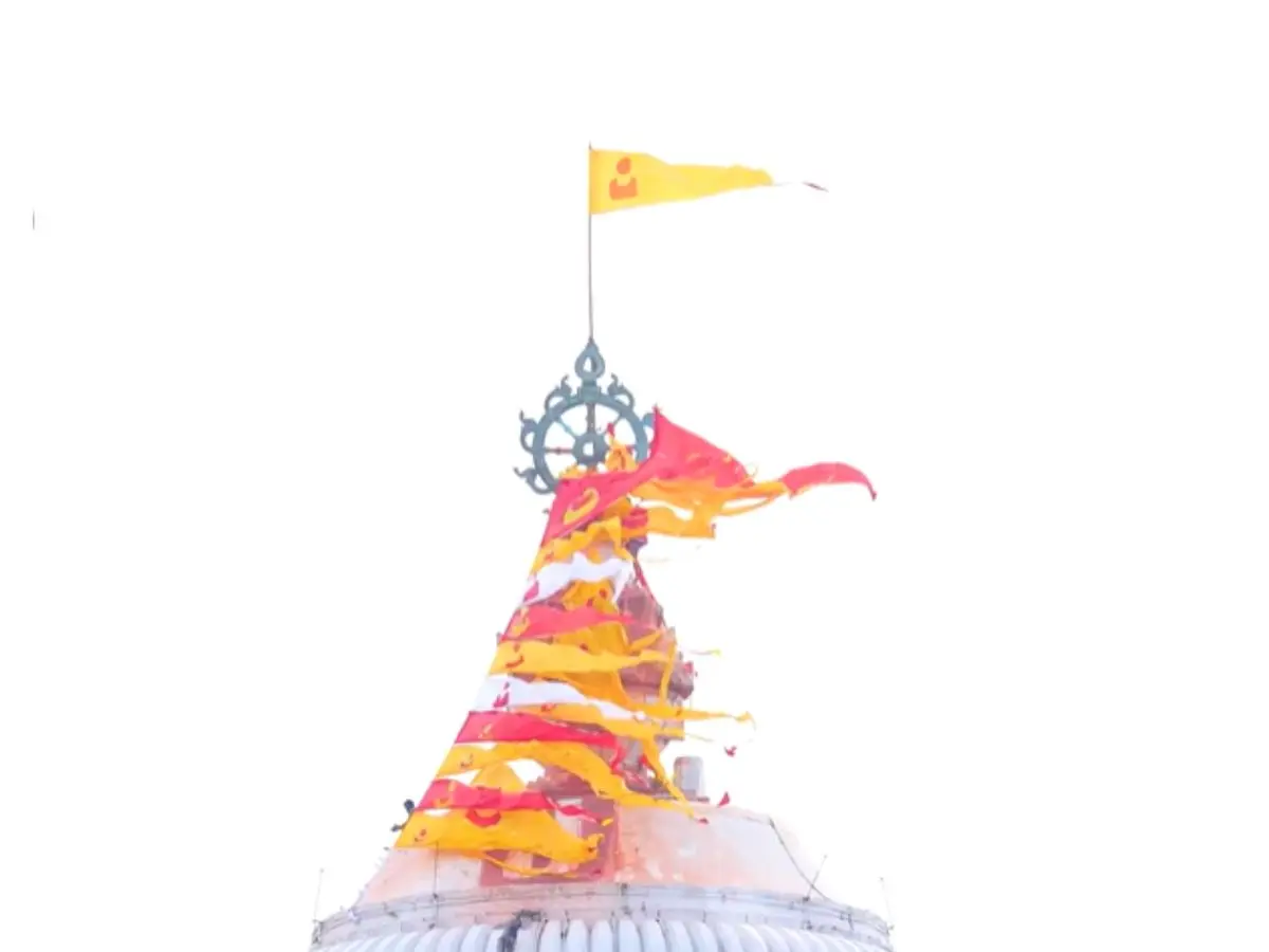The Flag That Disobeys the Wind