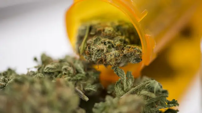 Cannabis for Health Conditions