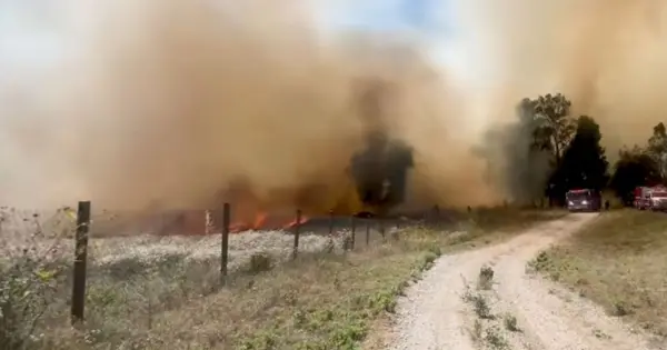 California Wildfires: Juniper, Wolf and Lake Fires Underway