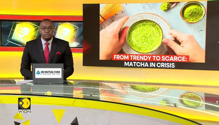  Japan’s Matcha output falls amid record heat 