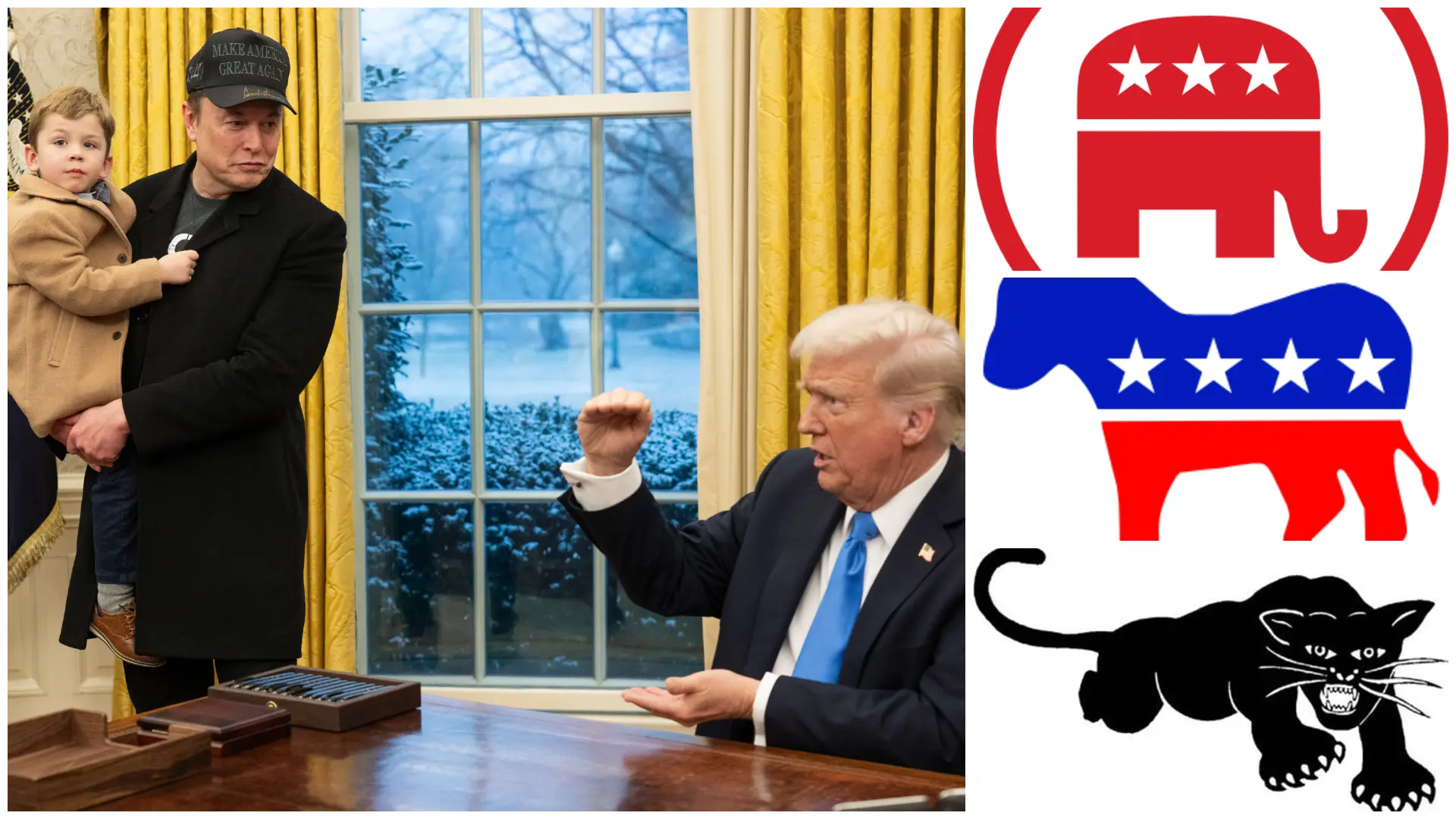 Donkey, Elephant, Black Panther, and more: Musk-Trump spar over America Party, but US has more than 420 registered parties. Why don't we know of them?
