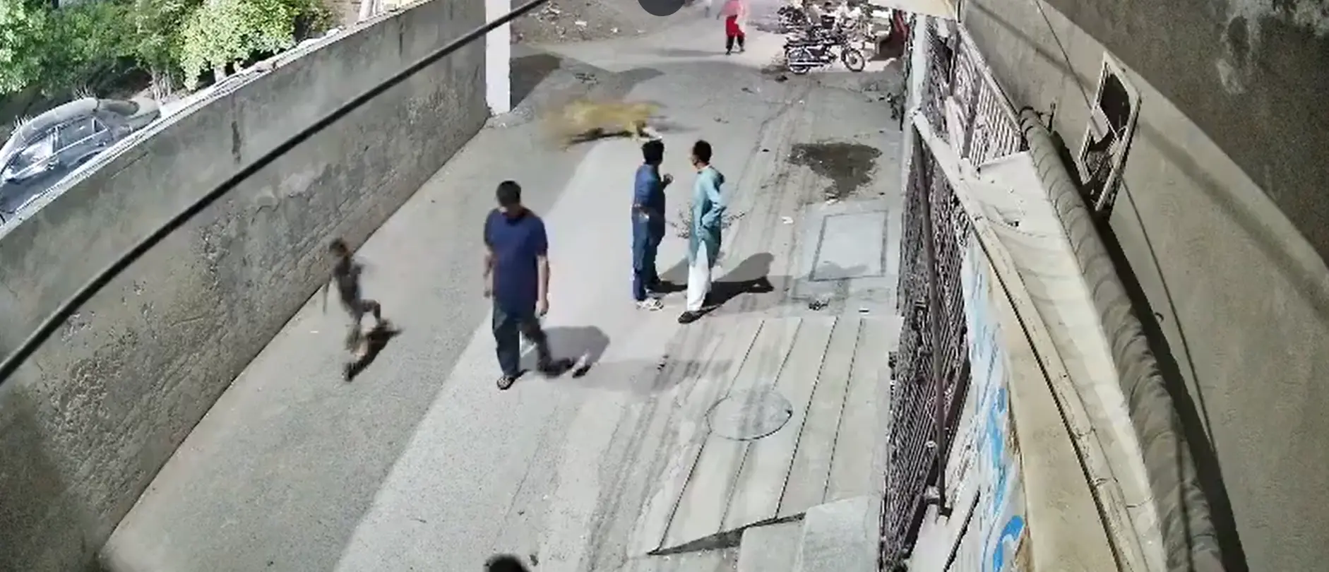 Pakistan pet lion's owners arrested after woman, two children injured in attack