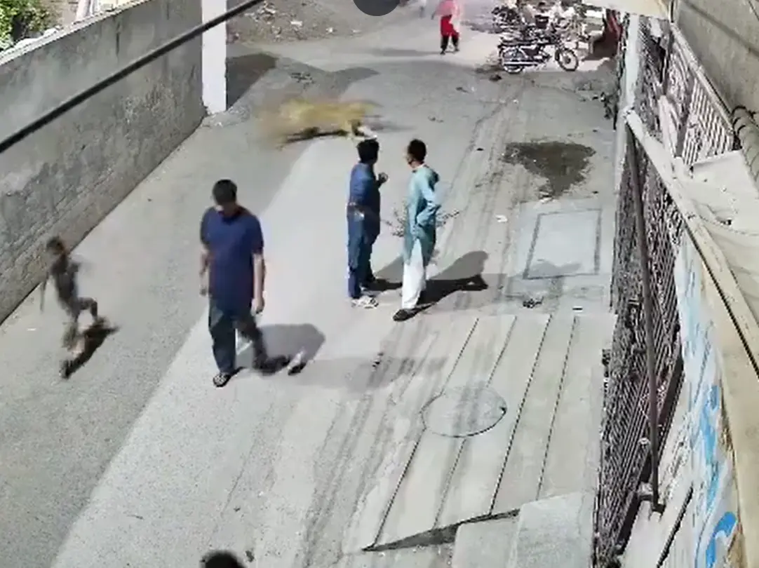 Pakistan pet lion's owners arrested after woman, two children injured in attack Pakistan pet lion's owners arrested after woman, two children injured in attack