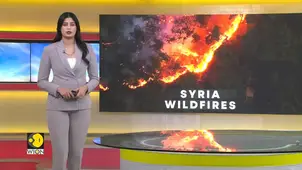 Wildfires sweep through forests in drought-hit Syria