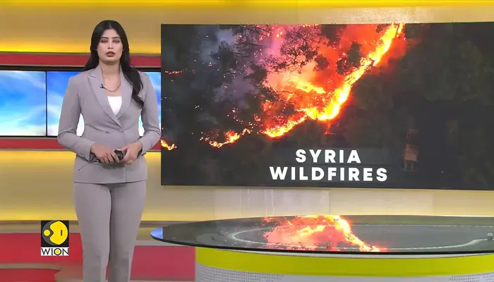 Wildfires sweep through forests in drought-hit Syria