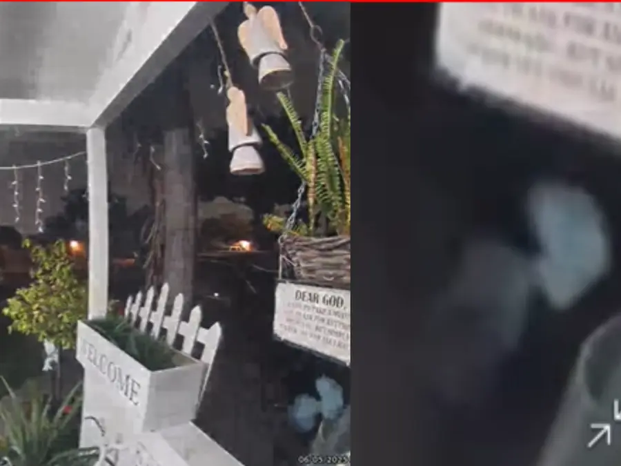 'Mom it's an alien': Doorbell camera seemingly captures an extraterrestrial being in freaky encounter