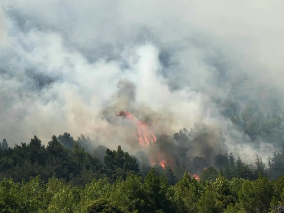 France wildfires: Inferno engulfs 2,000 hectares; Marseille airport closed | In pics
